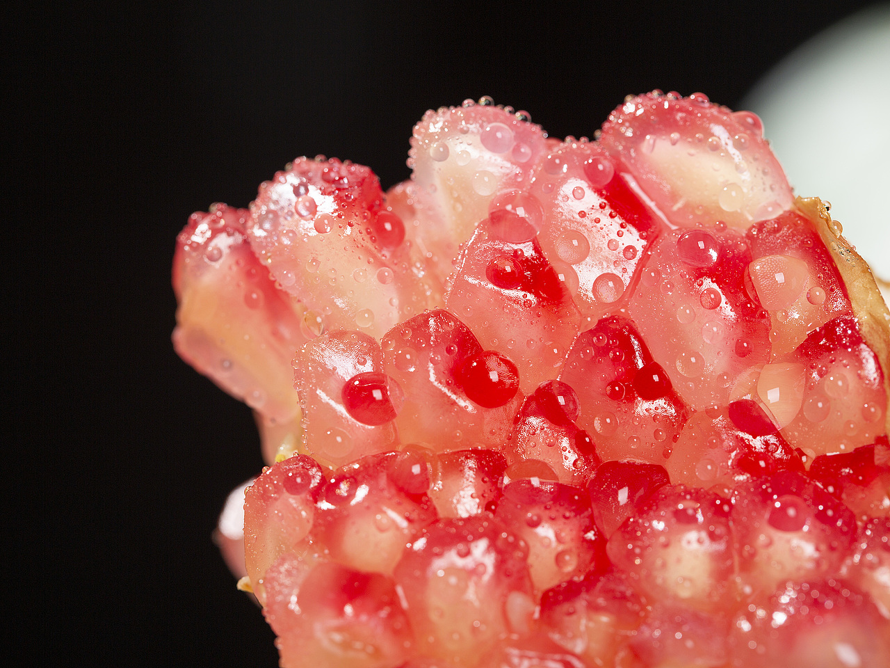 四川突尼斯红钻软籽石榴