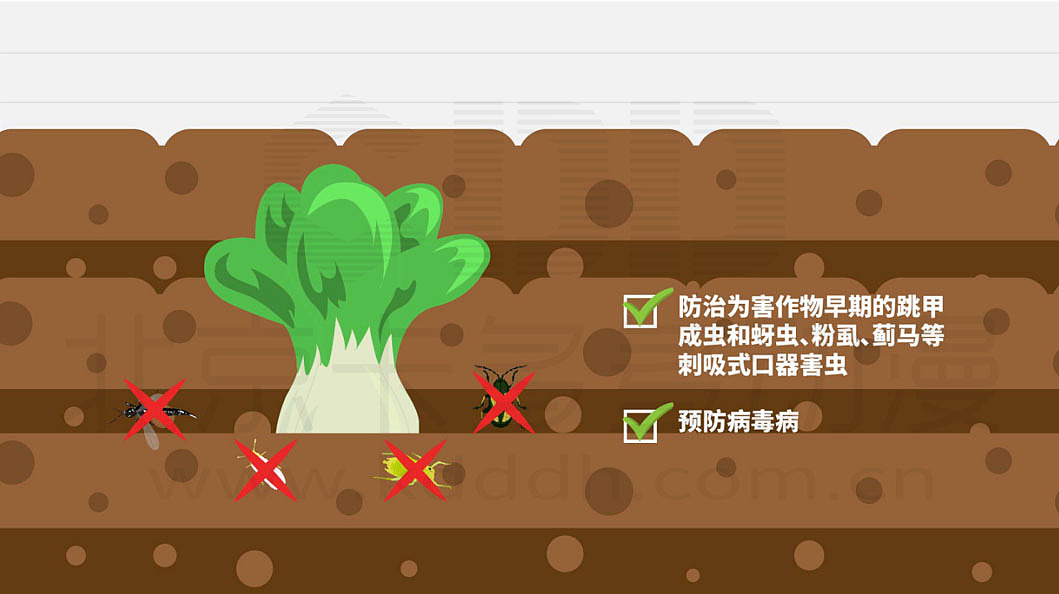 MG动画flash动画二维动画手绘动画定制动画创意动画