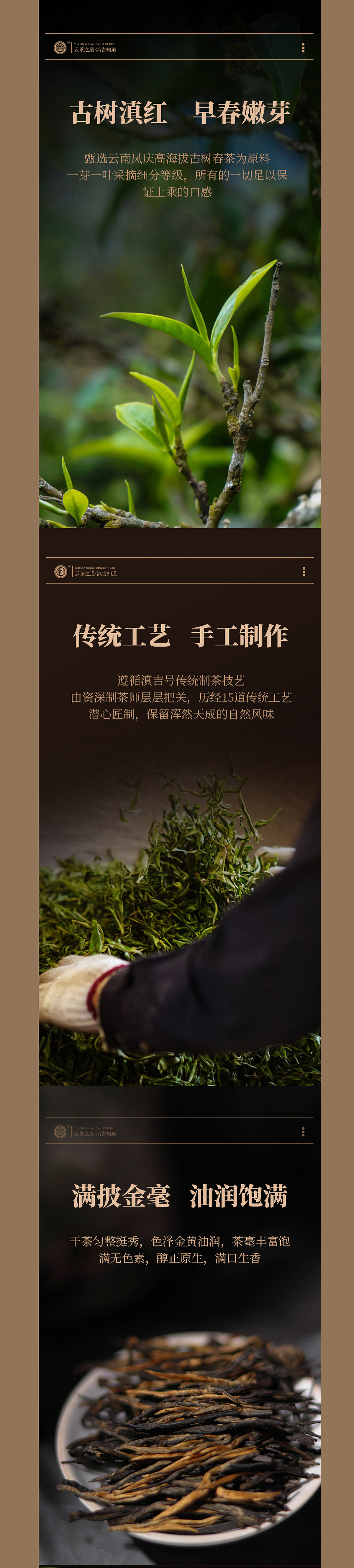 普洱茶详情页