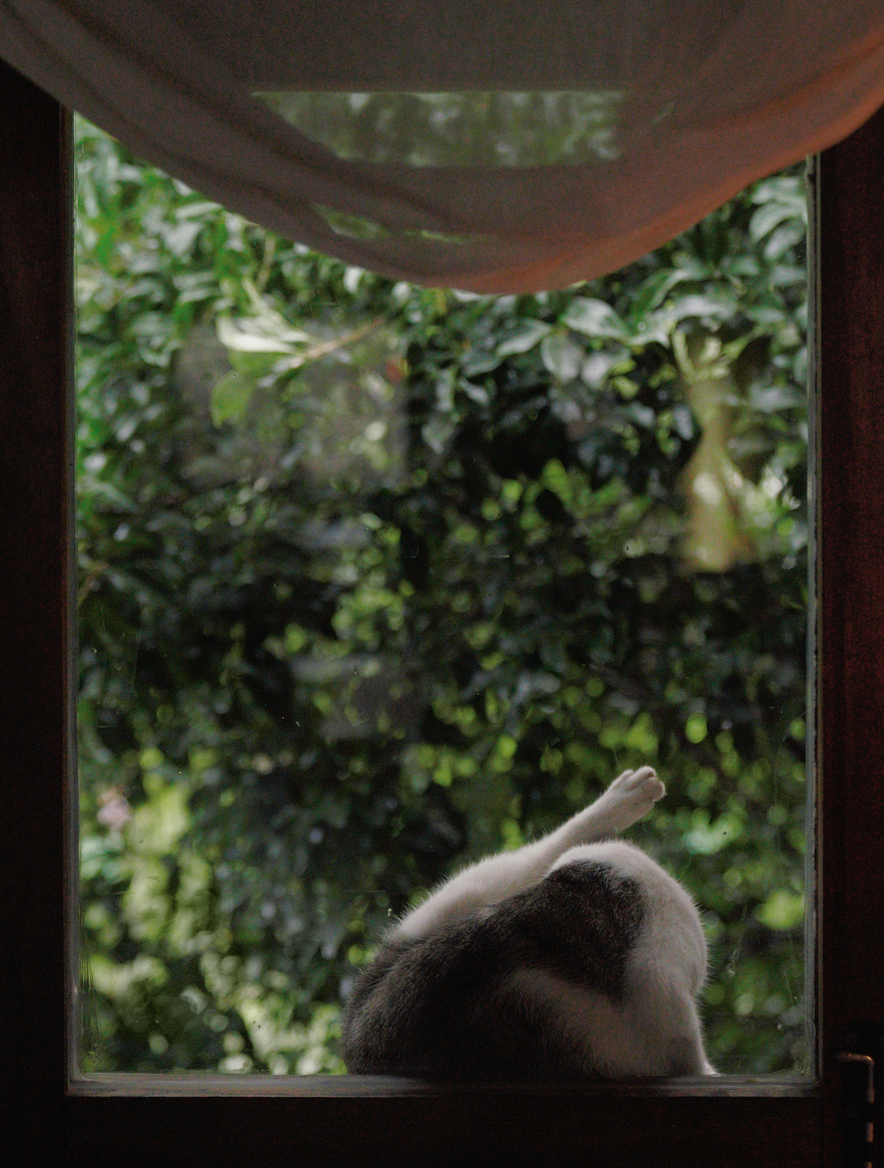 突如其来的盛夏暴雨-山山