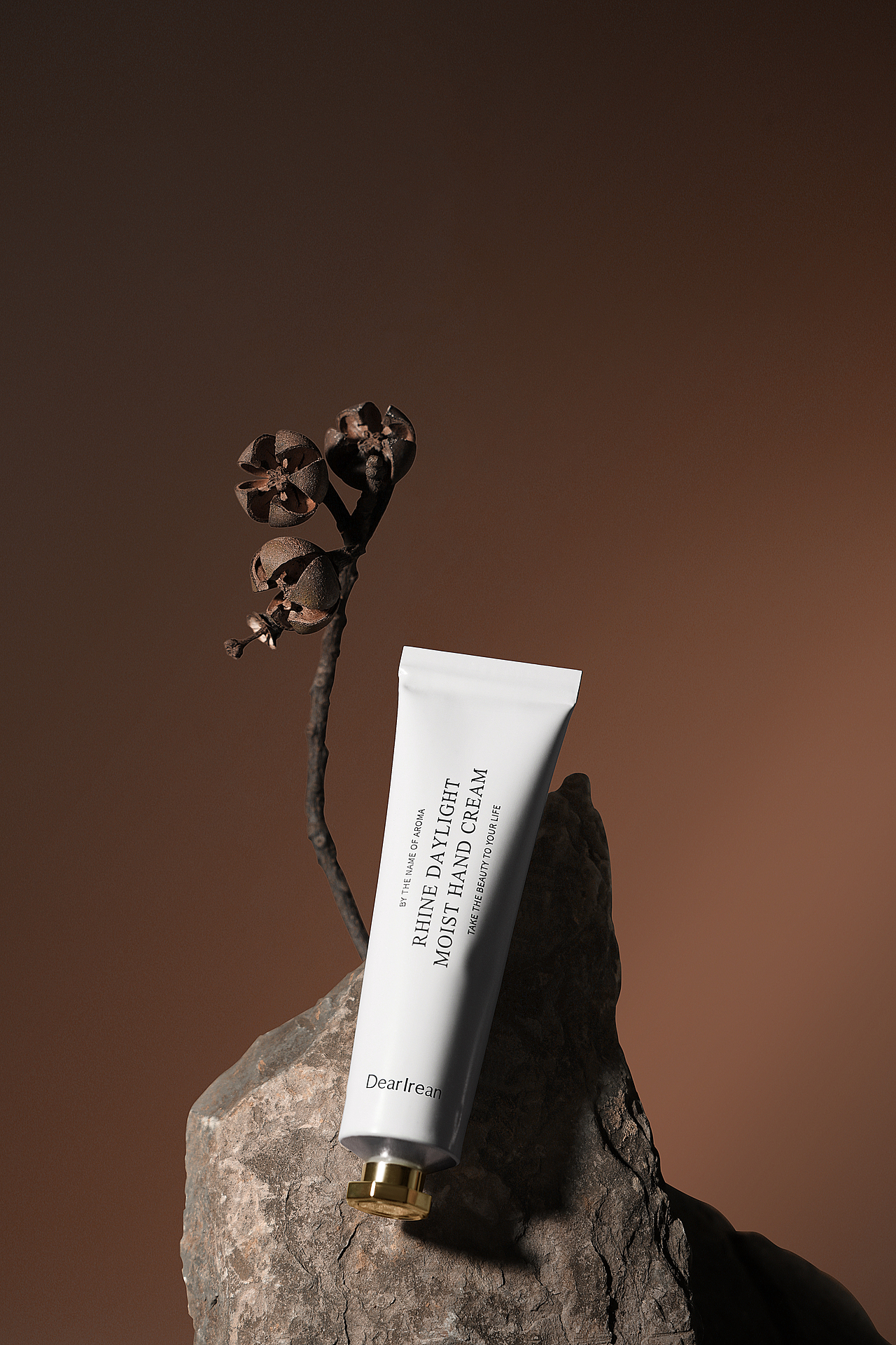 简约调性的静物图 独立摄影-杭州