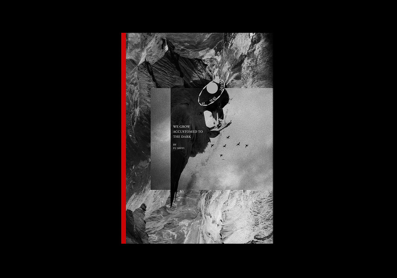 对黑暗习以为常 摄影集（图ZMzE5OTg0MzQ4） - 书籍/画册 - 站酷设计师付诗意原创素材 - 站酷ZCOOL