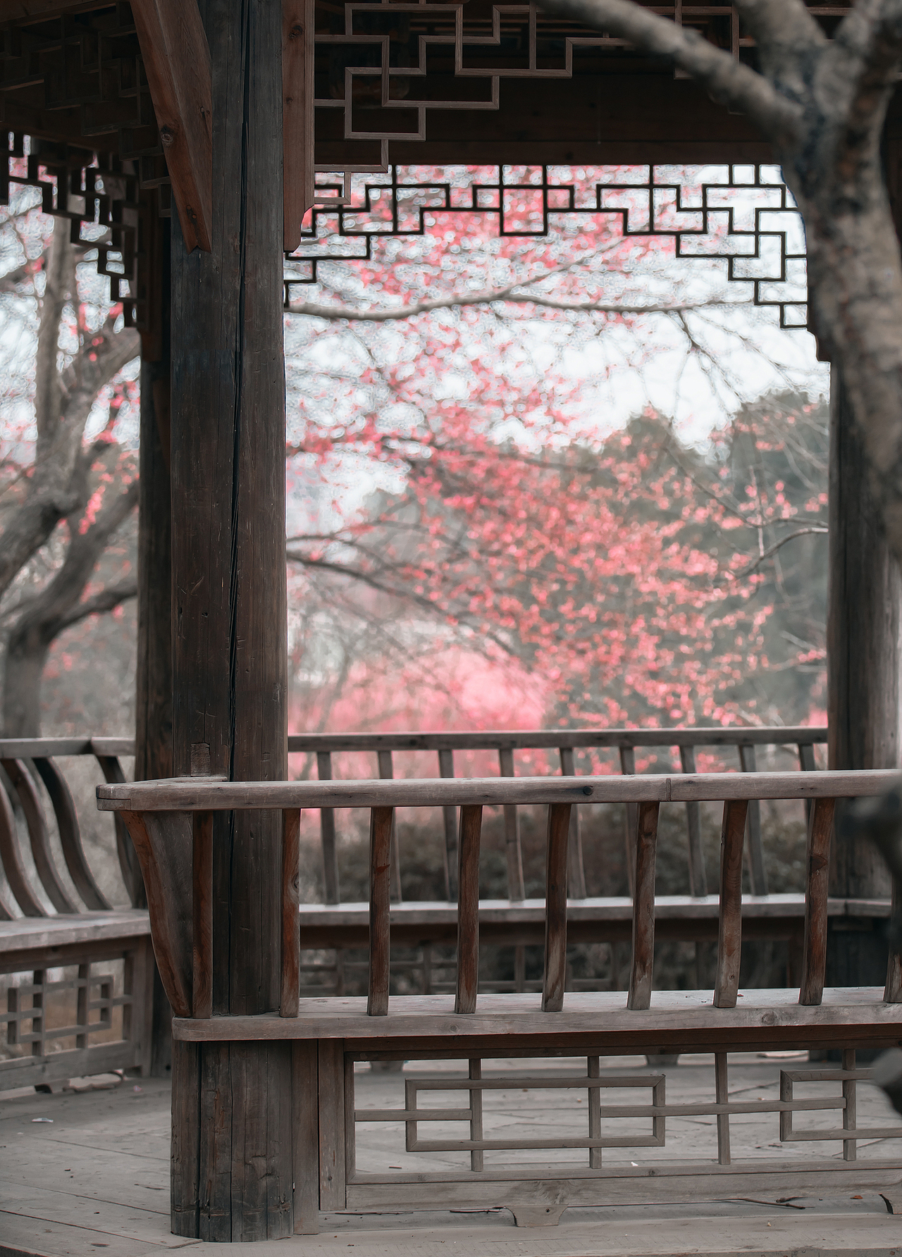 惹春风（图ZMzMxMjA5MjA0） - 人像摄影 - 站酷设计师摄影师不可说原创素材 - 站酷ZCOOL