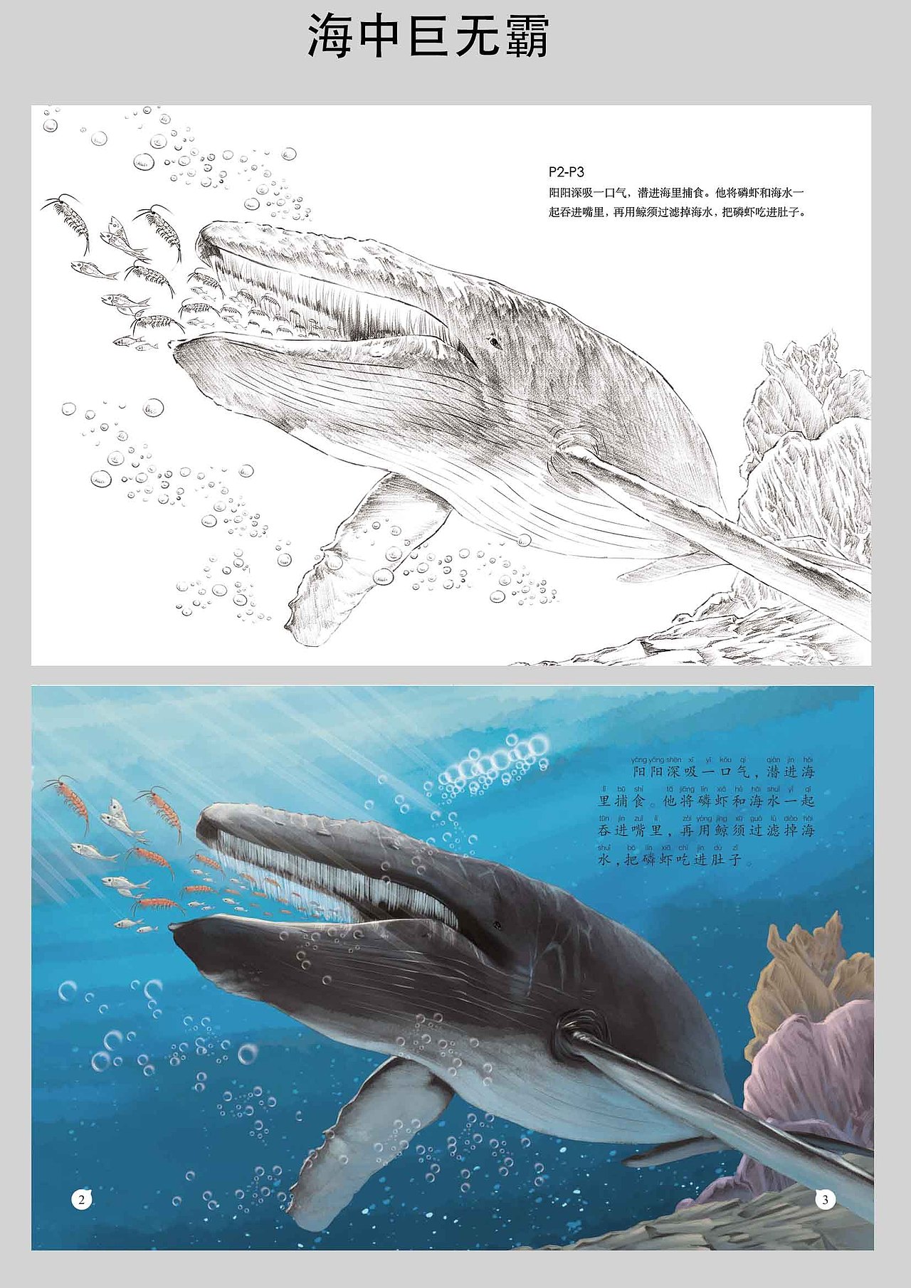 《自然科学绘本--动物类2》