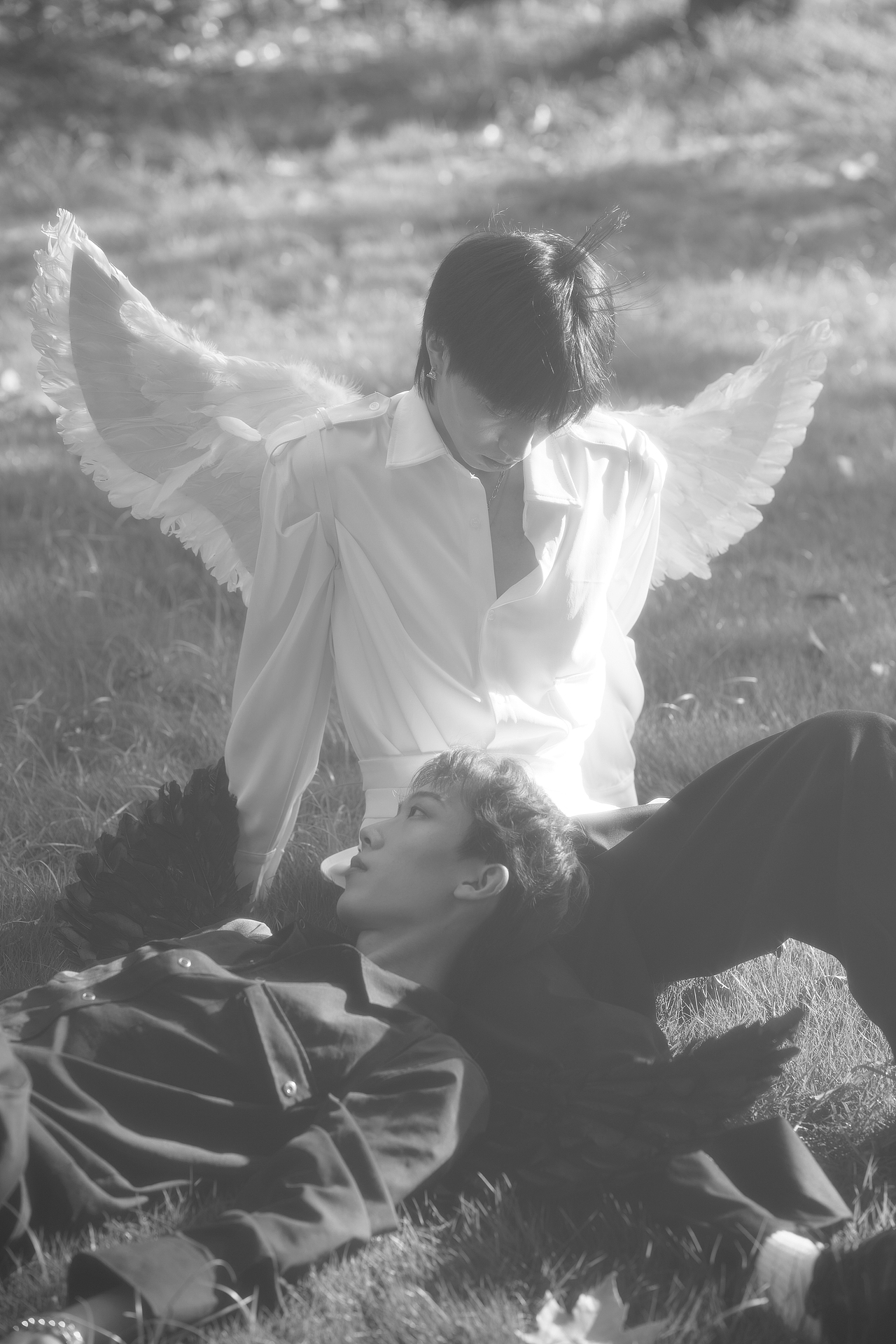 黑白-天鹅双男主