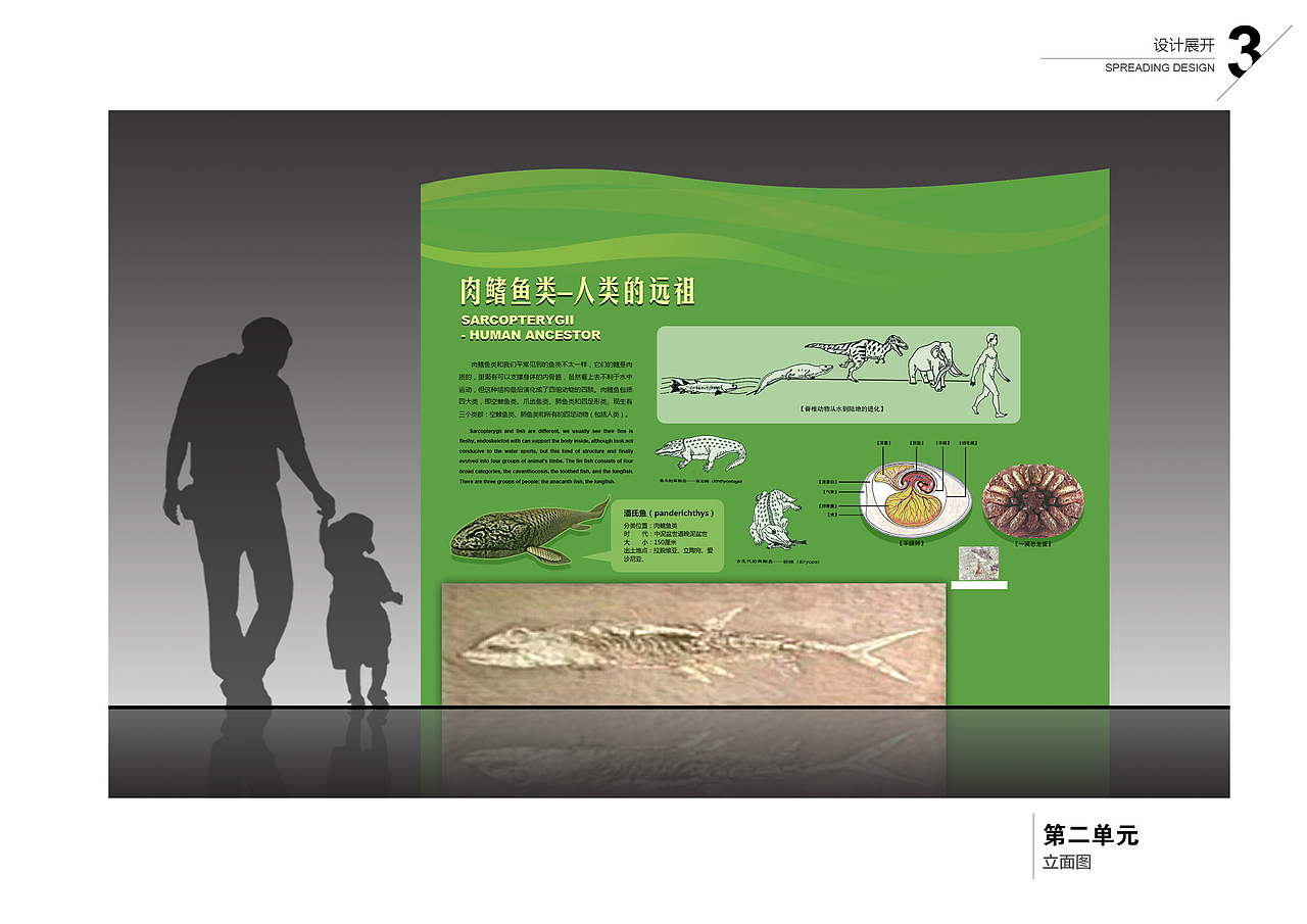 海洋展厅立面展示