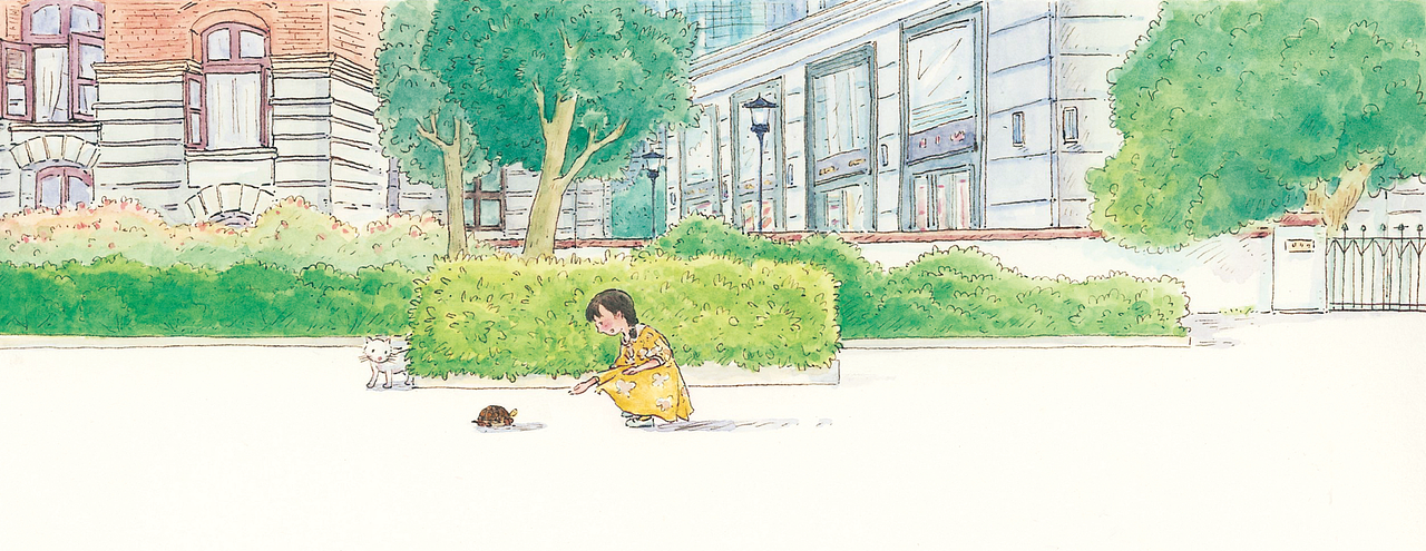 一只乌龟一只猫