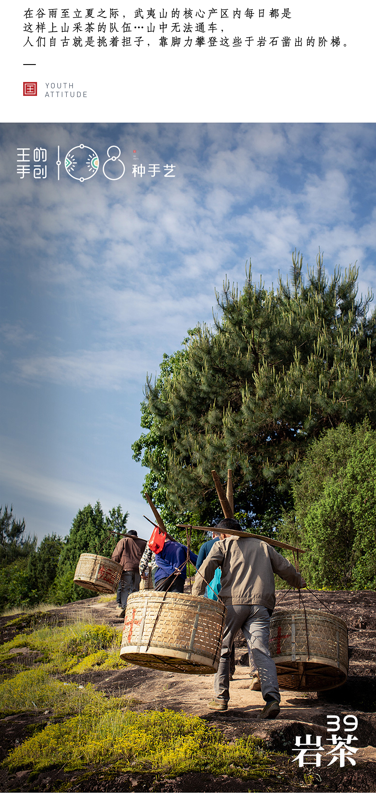岩茶“其地,上者生烂石,中者生砾壤,下者生黄土”