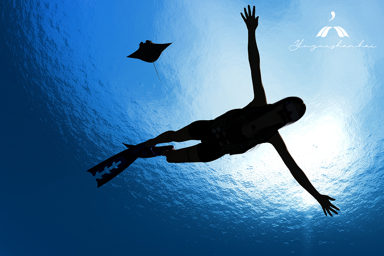 品牌设计——潜水运动品牌创意LOGO设计案例