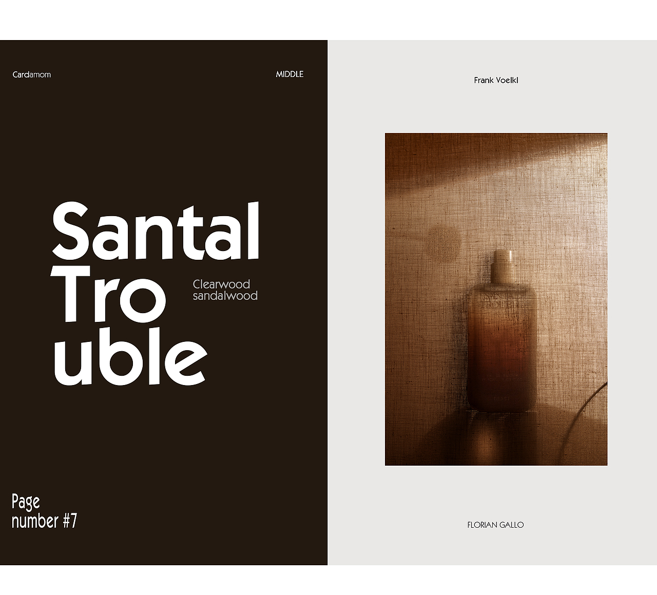 香氛摄影丨野兽派