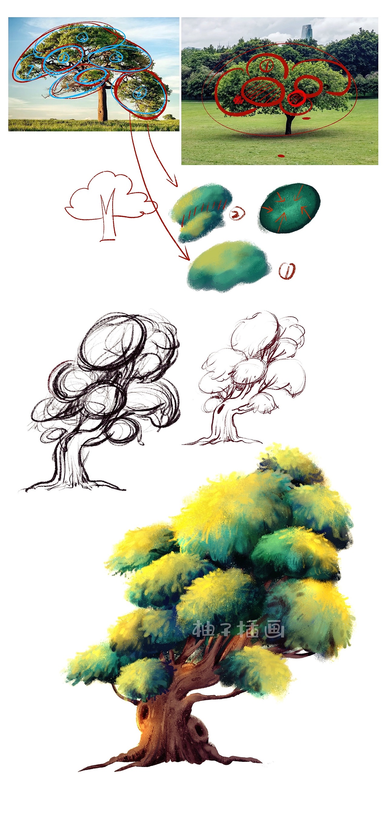 一组有趣的植物