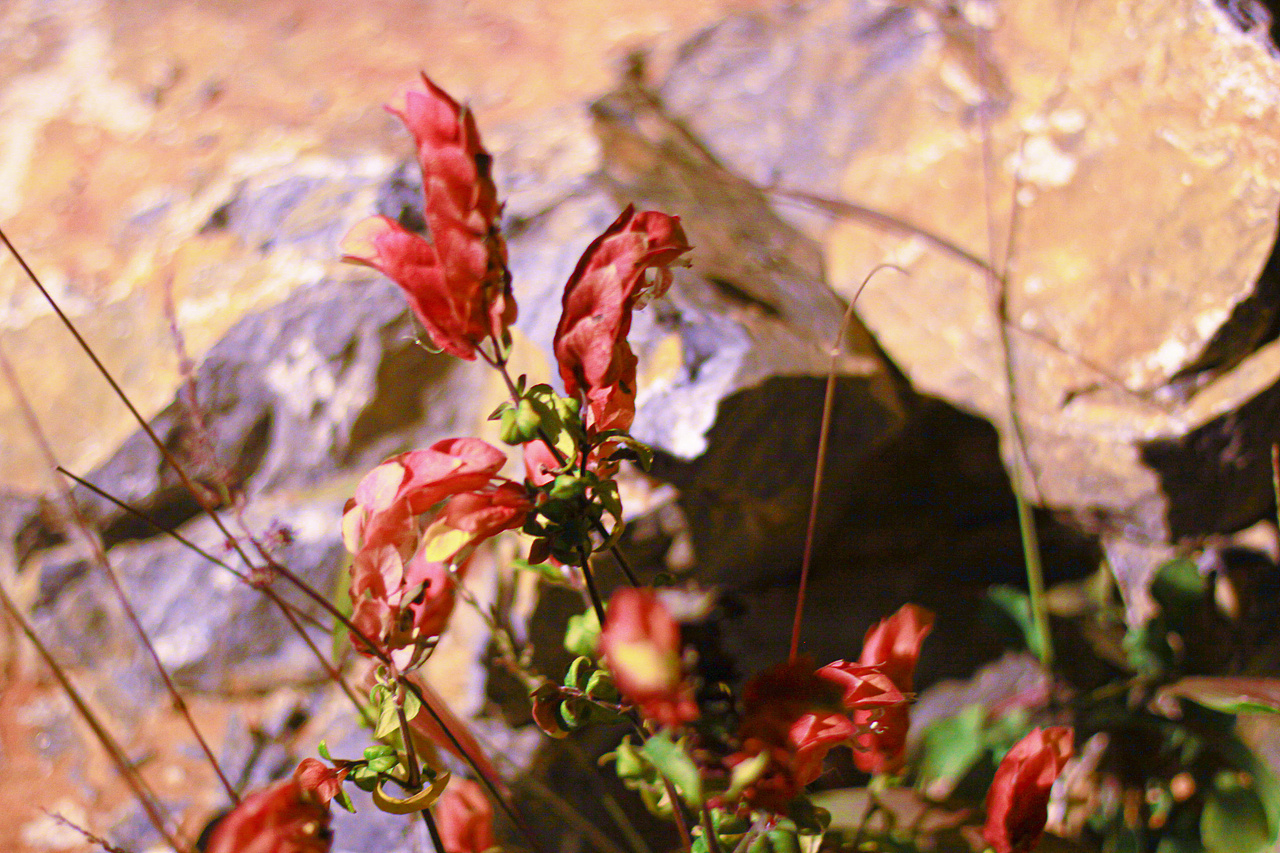 云南-大理旅游随记