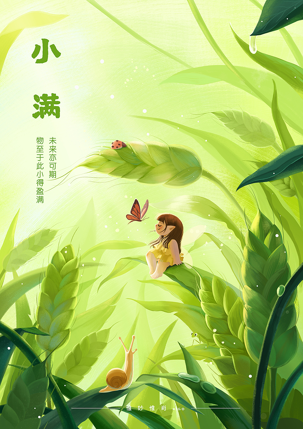 二十四节气插画