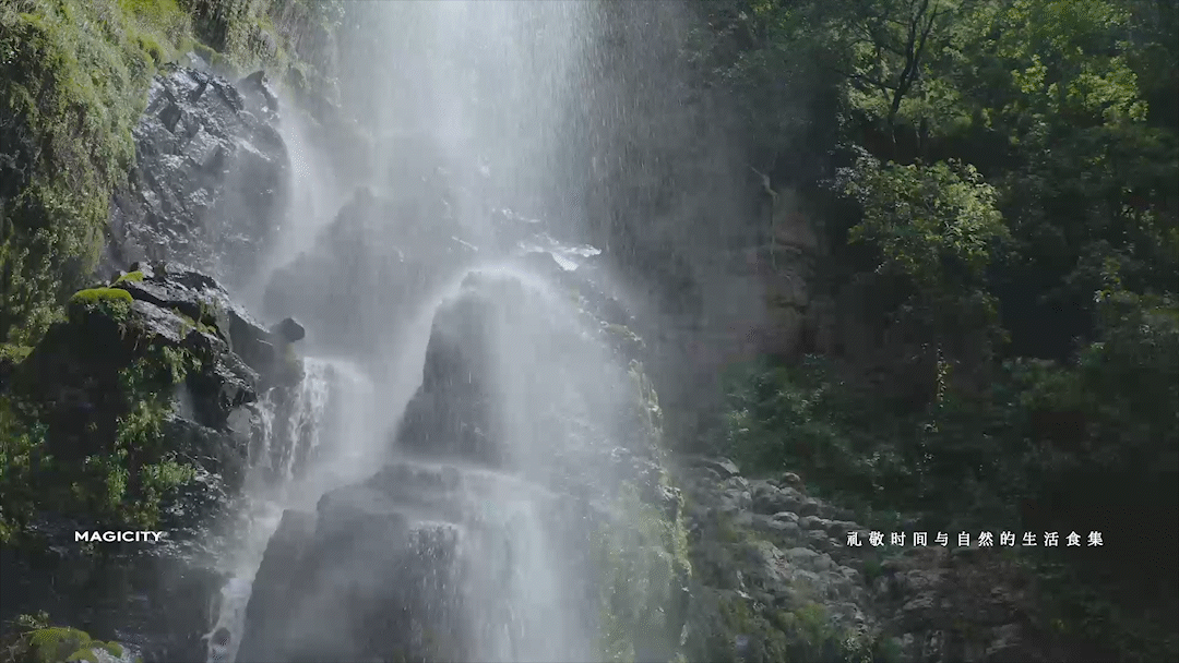MAGICITY漫城鹊歌 礼敬自然与时间的生活食集 2022（图ZMzE5NTk4NDM2） - 品牌 - 站酷设计师再定义品牌顾问原创素材 - 站酷ZCOOL