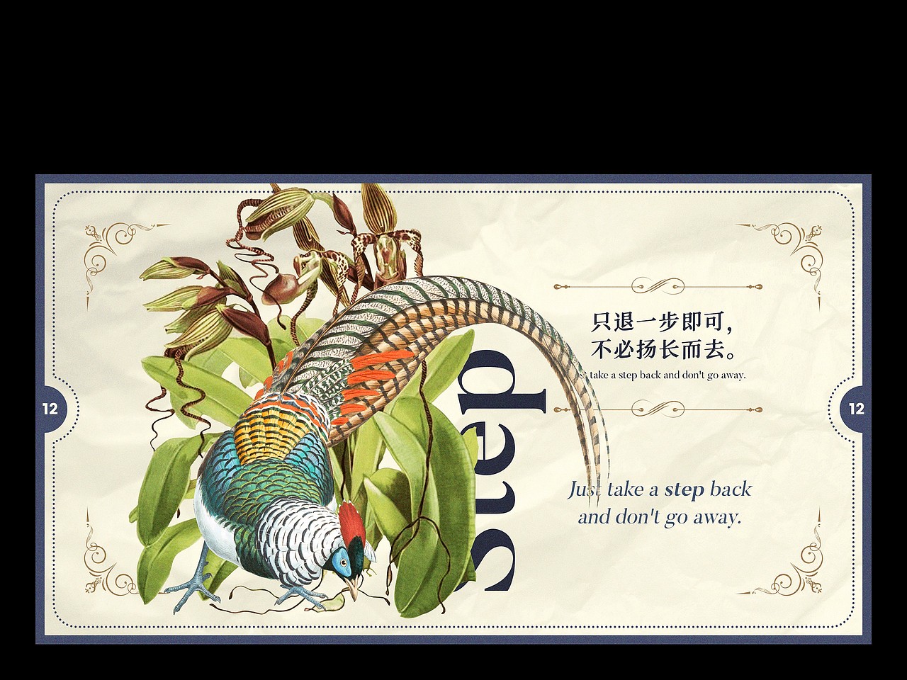 【自然选择不说】复古自然插画主题PPT模板（图ZMzE1MzQ5MDg4） - PPT/Keynote - 站酷设计师凉了药原创素材 - 站酷ZCOOL