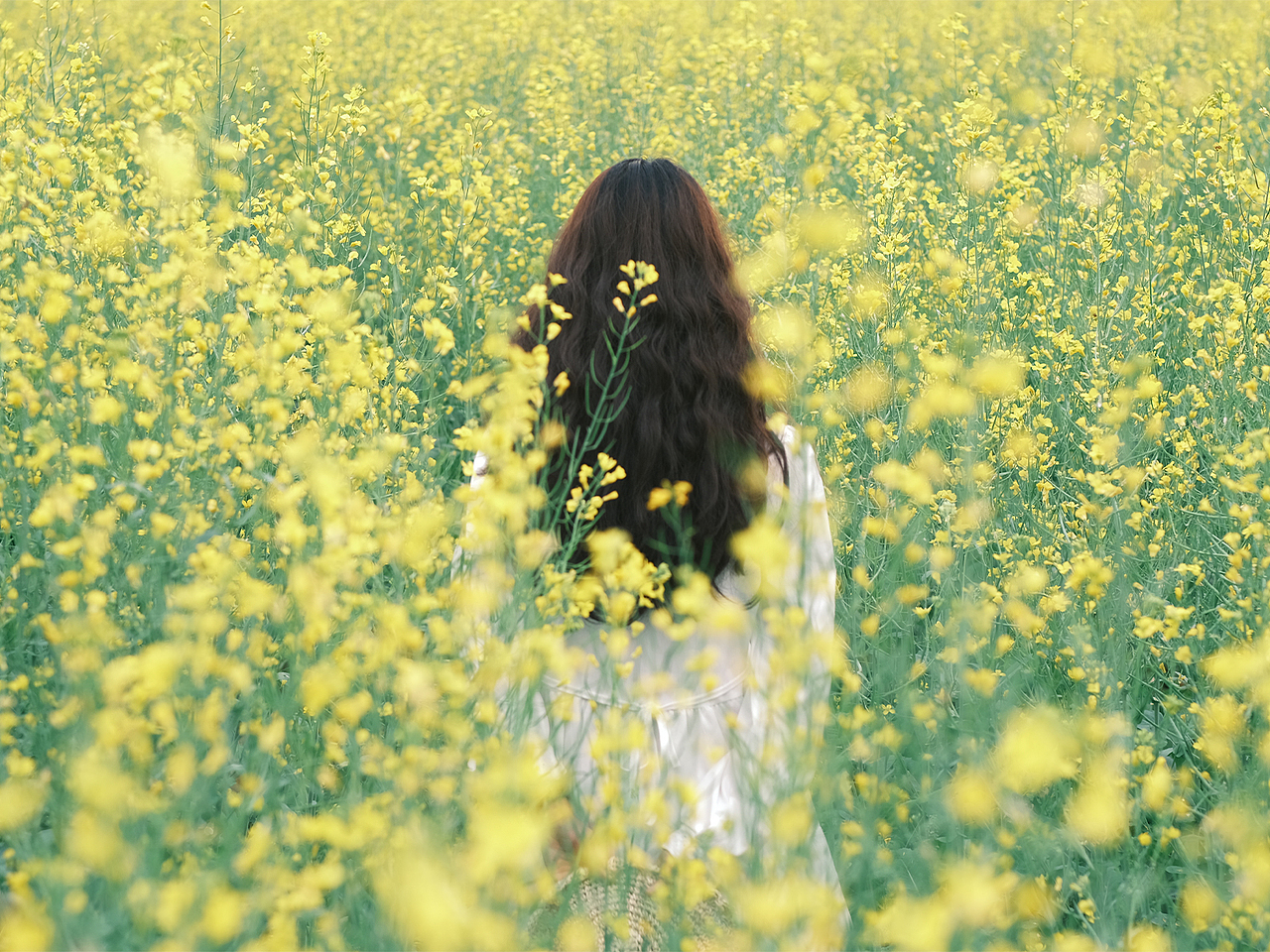 油菜花拍照居然这么好看！#油菜花田#日系小清新（图ZMzY1NTUzNzgw） - 人像摄影 - 站酷设计师一枚渲染怪原创素材 - 站酷ZCOOL
