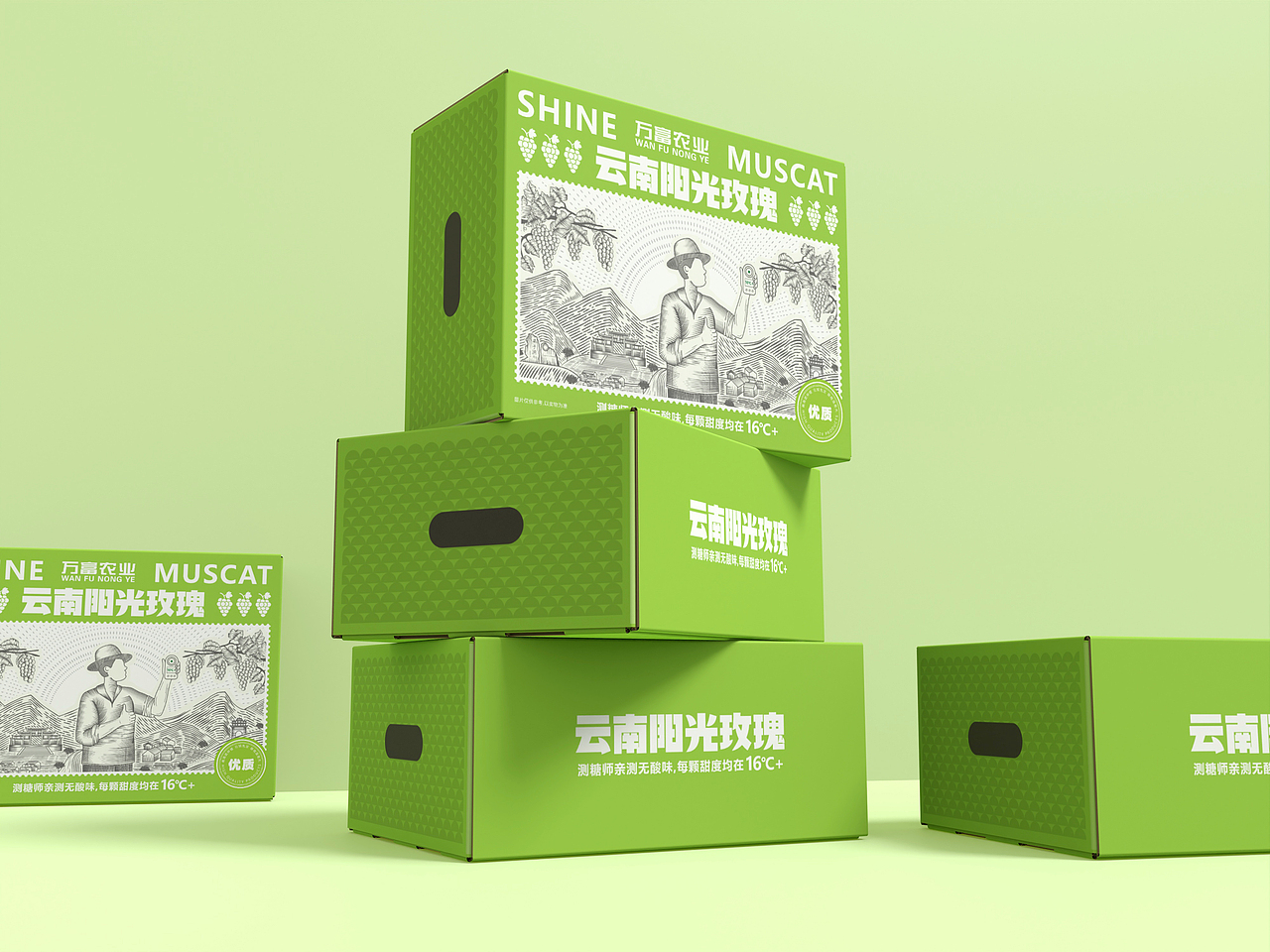 阳光玫瑰包装设计
