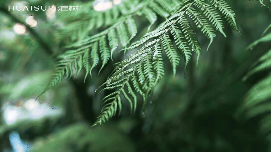 情人节拍摄 | 护肤品礼盒 | 情人节礼遇季