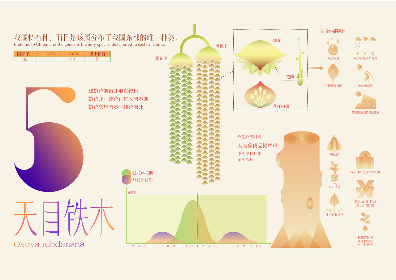 最后的植物(图ZMjk3NDc4MjM2) - 信息图表 - 站酷设计师竹子林里赏绿竹原创素材 - 站酷ZCOOL