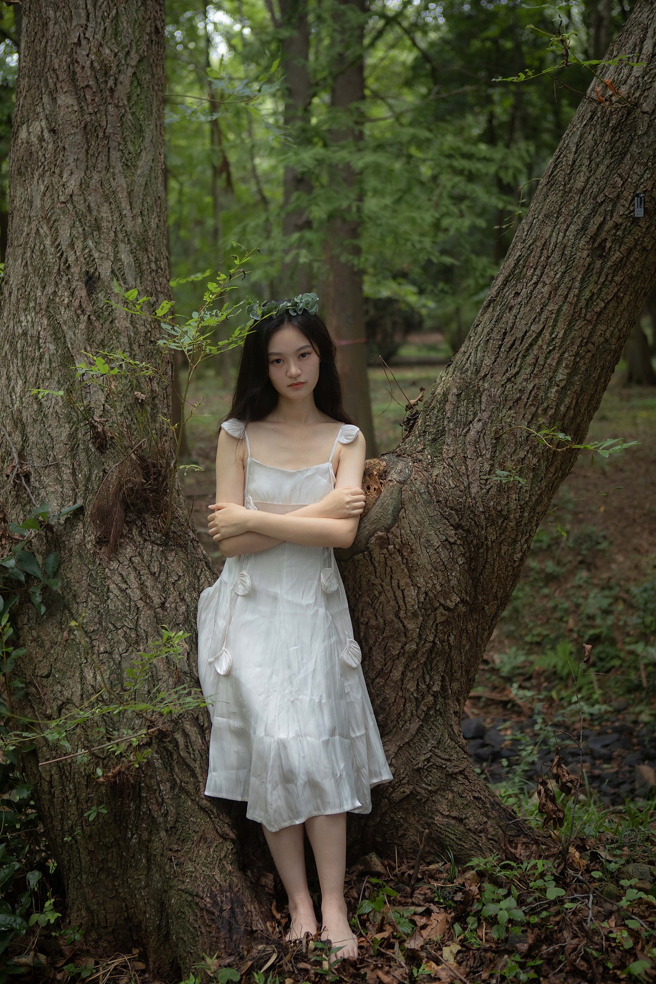 小森林（图ZMzE2Mzg2NjIw） - 人像摄影 - 站酷设计师张禧芮原创素材 - 站酷ZCOOL
