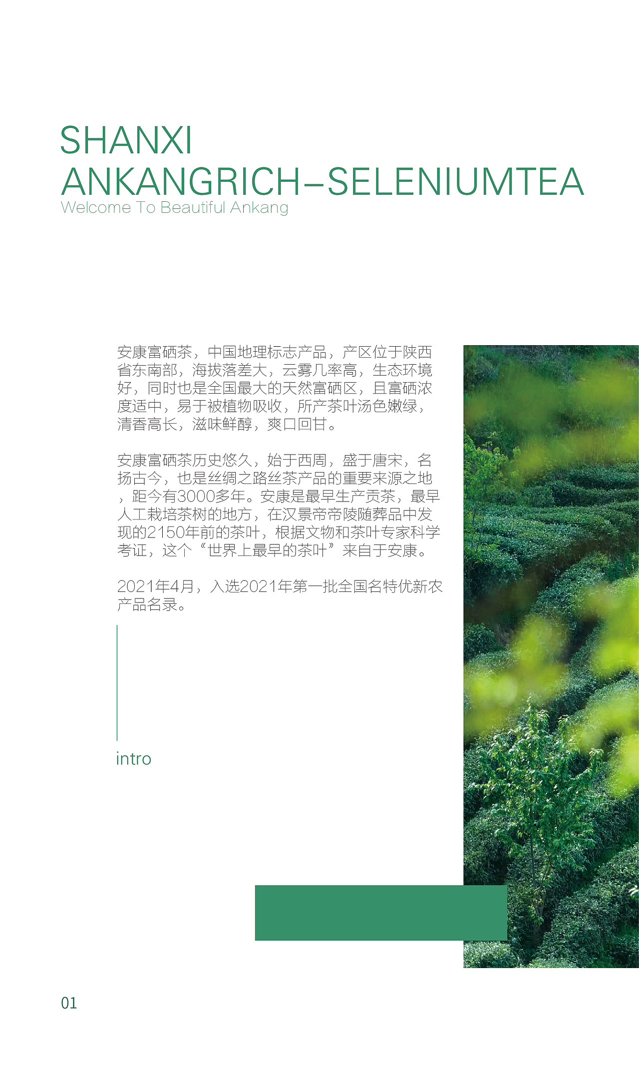 安康富硒茶宣传册设计