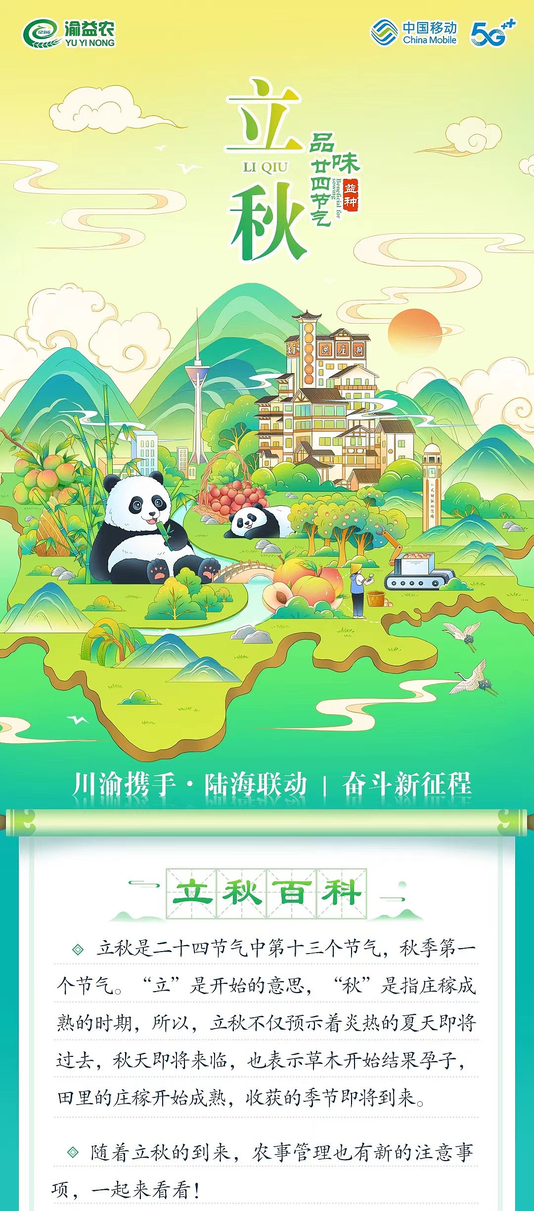 二十四节气之:立秋