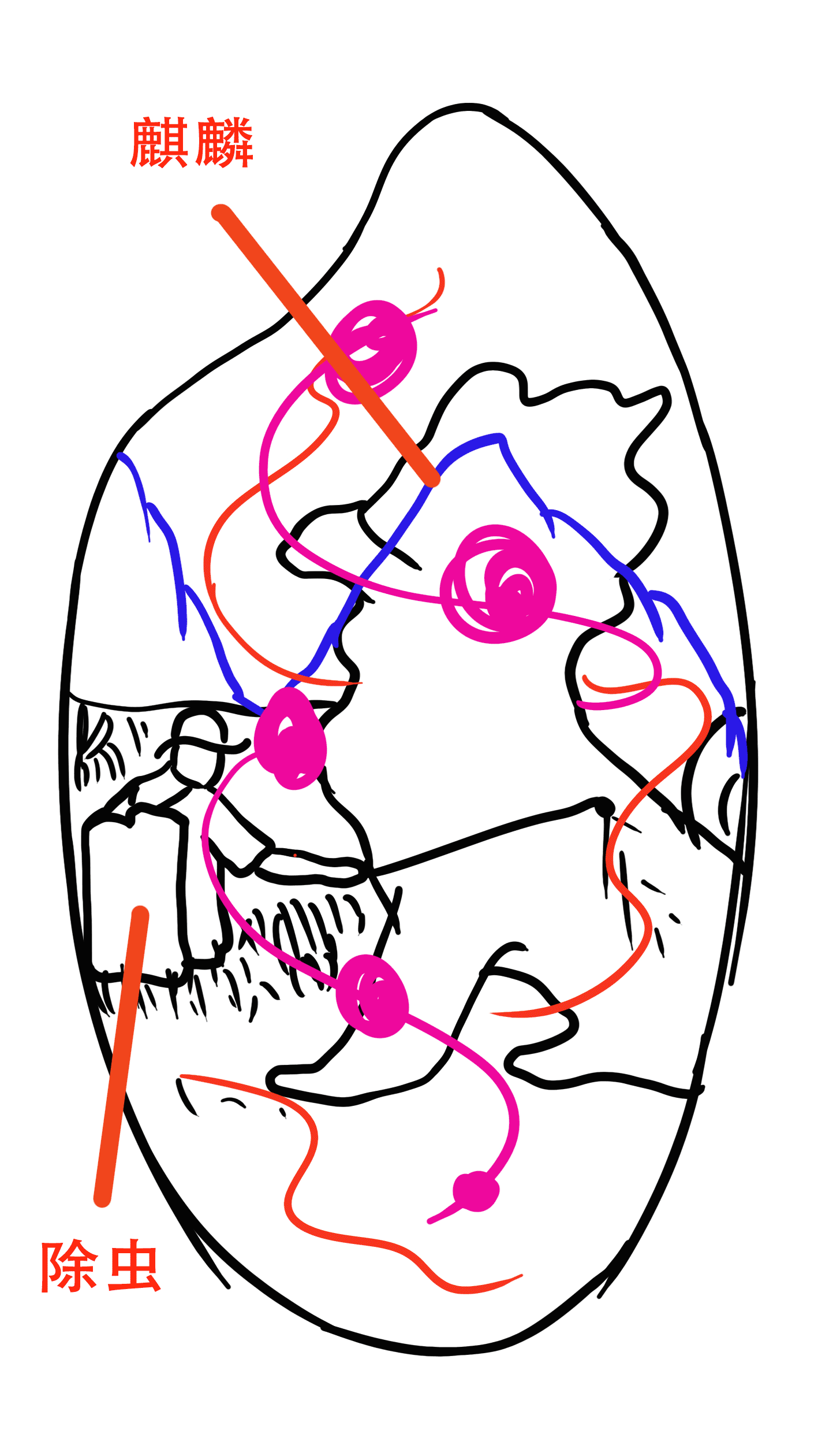 大米包装系列——上