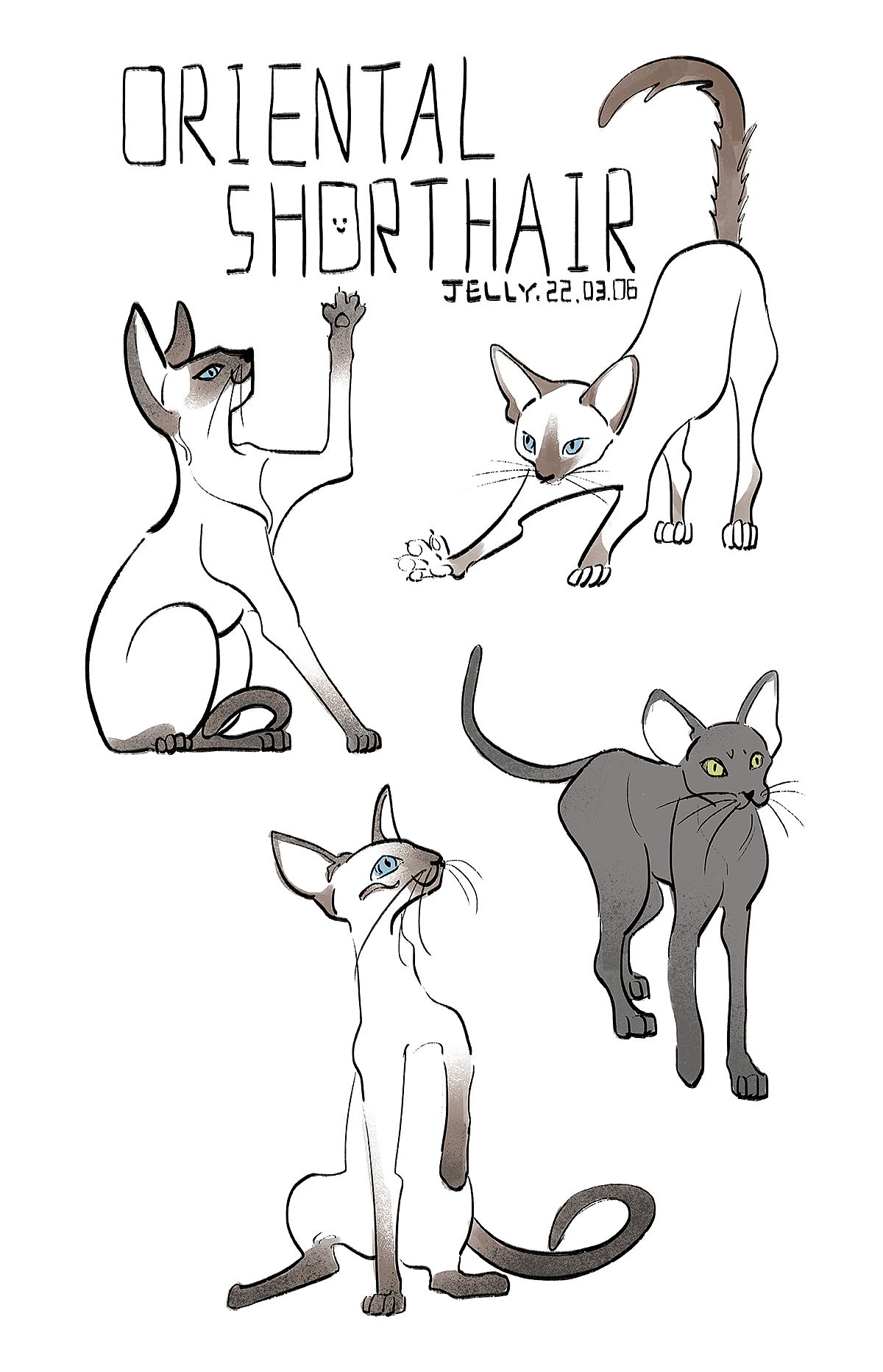尝试用各种风格画大猫小猫（图ZMzI2MTcwNTk2） - 创作习作 - 站酷设计师摘梨_jelly原创素材 - 站酷ZCOOL