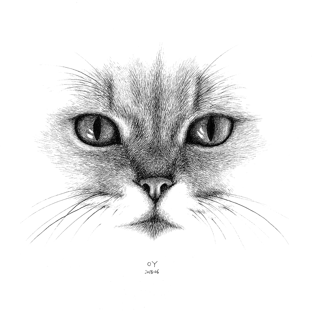 OY手绘：钢笔画猫 合集（图ZMzI0NjY3NzIw） - 商业插画 - 站酷设计师欧阳鹏杰_OY原创素材 - 站酷ZCOOL