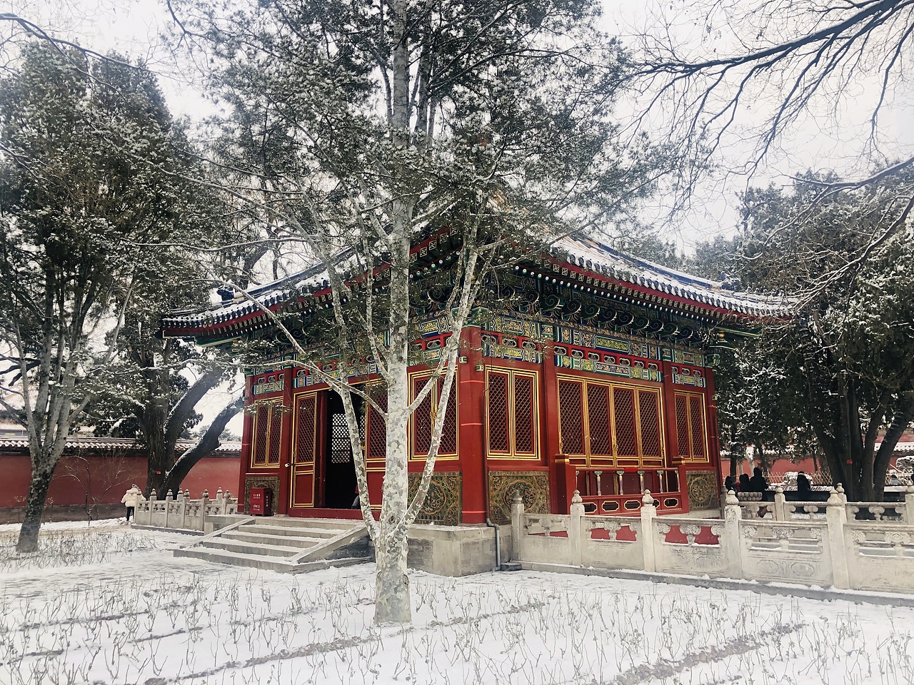 正月初八北京紫禁城落雪 故宫谨记