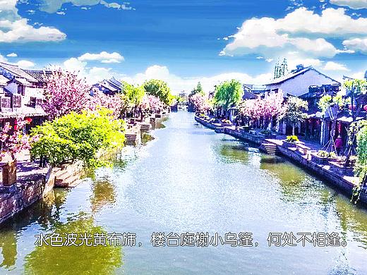 游西塘（个人主页-ZMjcxMzY2OTY=） - 人文/纪实摄影 - 站酷设计师goodbyelemon原创素材 - 站酷ZCOOL