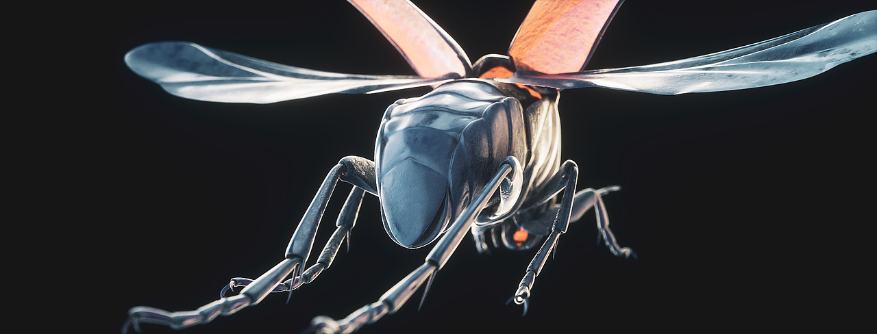 INSECT | REPRODUCTION