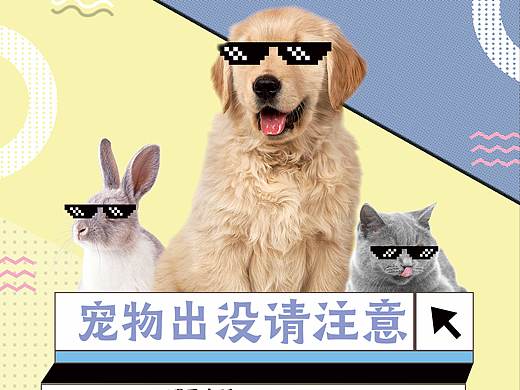 宠物海报