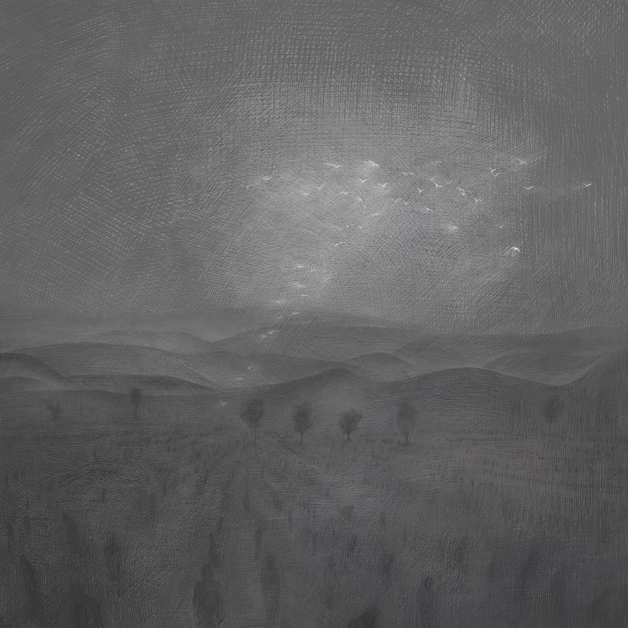 落脚在一处埋地里的半个头颅上