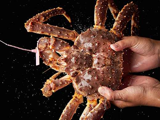 厦门美食摄影-帝王蟹-大闸蟹