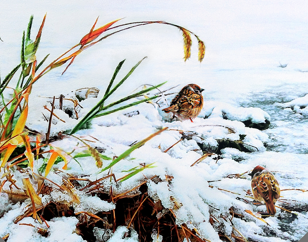 《初雪》风景系列