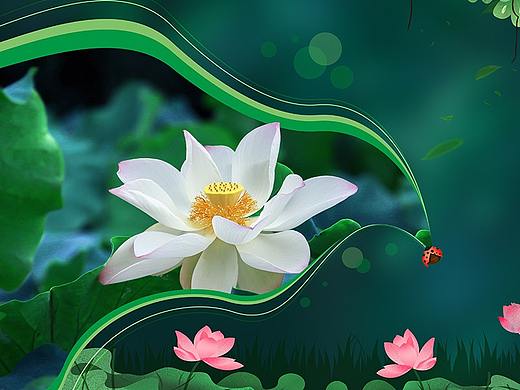 二十四节气海报