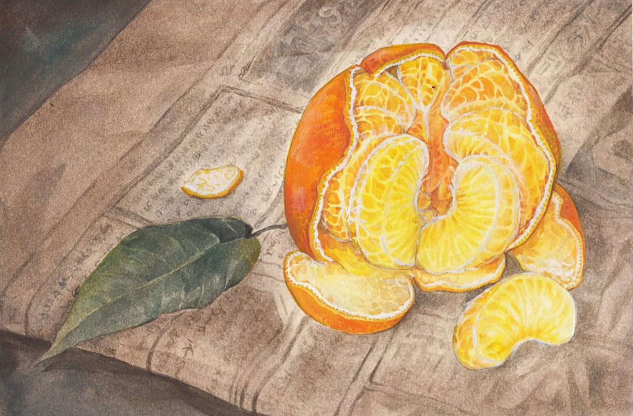 【烂指】小说绘本《橘子》-现代插图研究生毕业创作