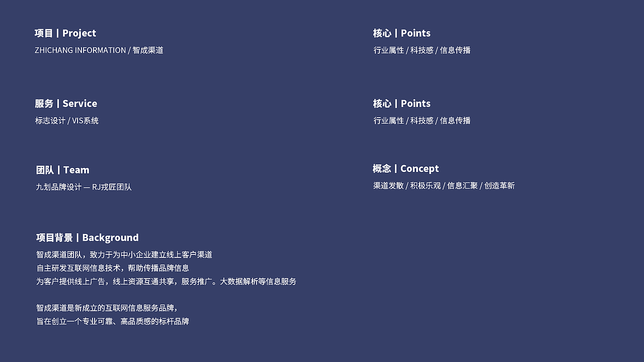 VI设计 互联网品牌 科技设计 科技VI 品牌设计