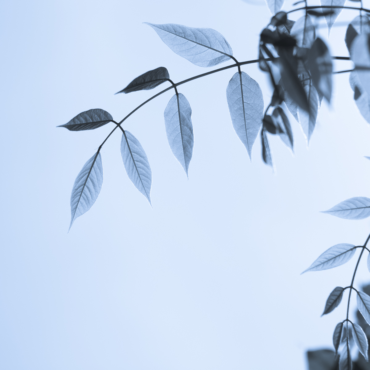 伍iy的個人主頁（封面預(yù)覽） - 主頁封面設(shè)置 - 站酷設(shè)計師伍iy原創(chuàng)素材 - 站酷ZCOOL