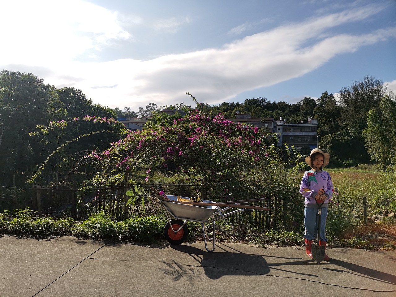 取舍，回归初心（图ZMjgxNDg1OTQ4） - 风光摄影 - 站酷设计师治愈的花园原创素材 - 站酷ZCOOL