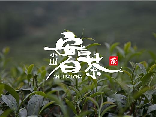 云端文字创意第五十一期