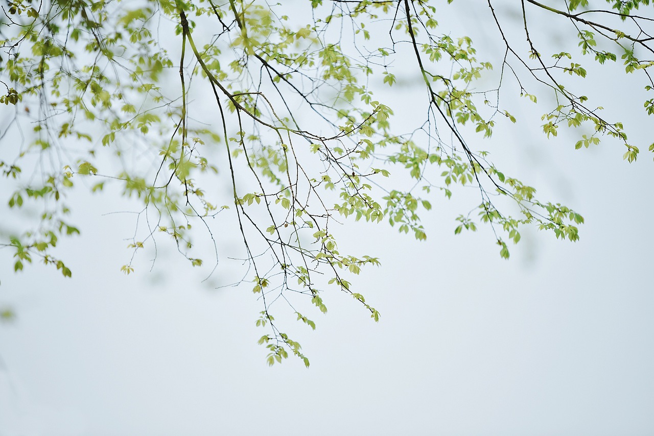 一入江南误终身