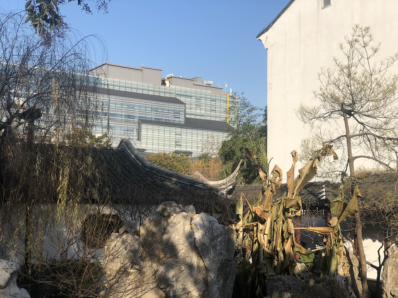 世间万物,万物可期