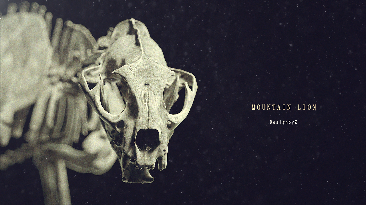 7-8月OC渲染合集