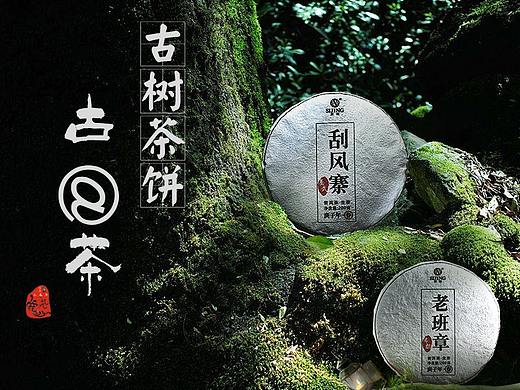 普洱茶生茶合集