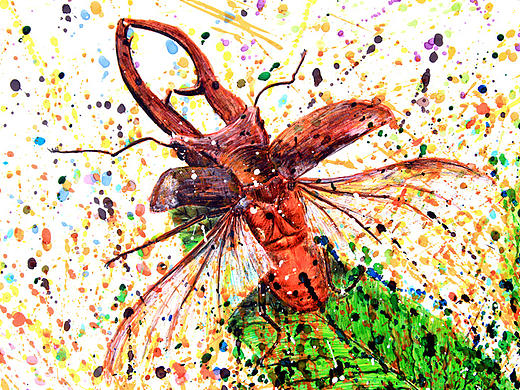 OY手绘：甲壳虫之梦