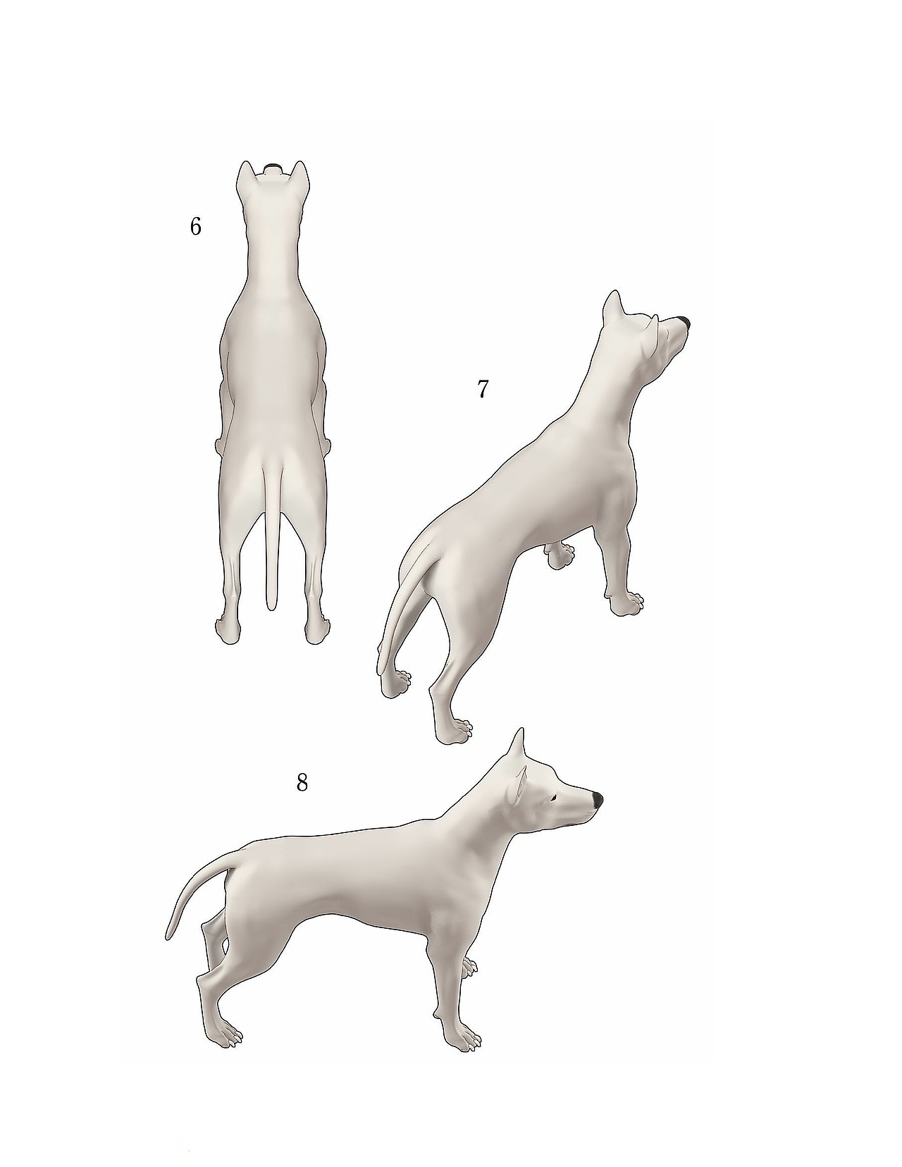 犬猫的形态样式（图ZMjM4NjU5MDY0） - 短篇/格漫 - 站酷设计师星空漫画堂原创素材 - 站酷ZCOOL