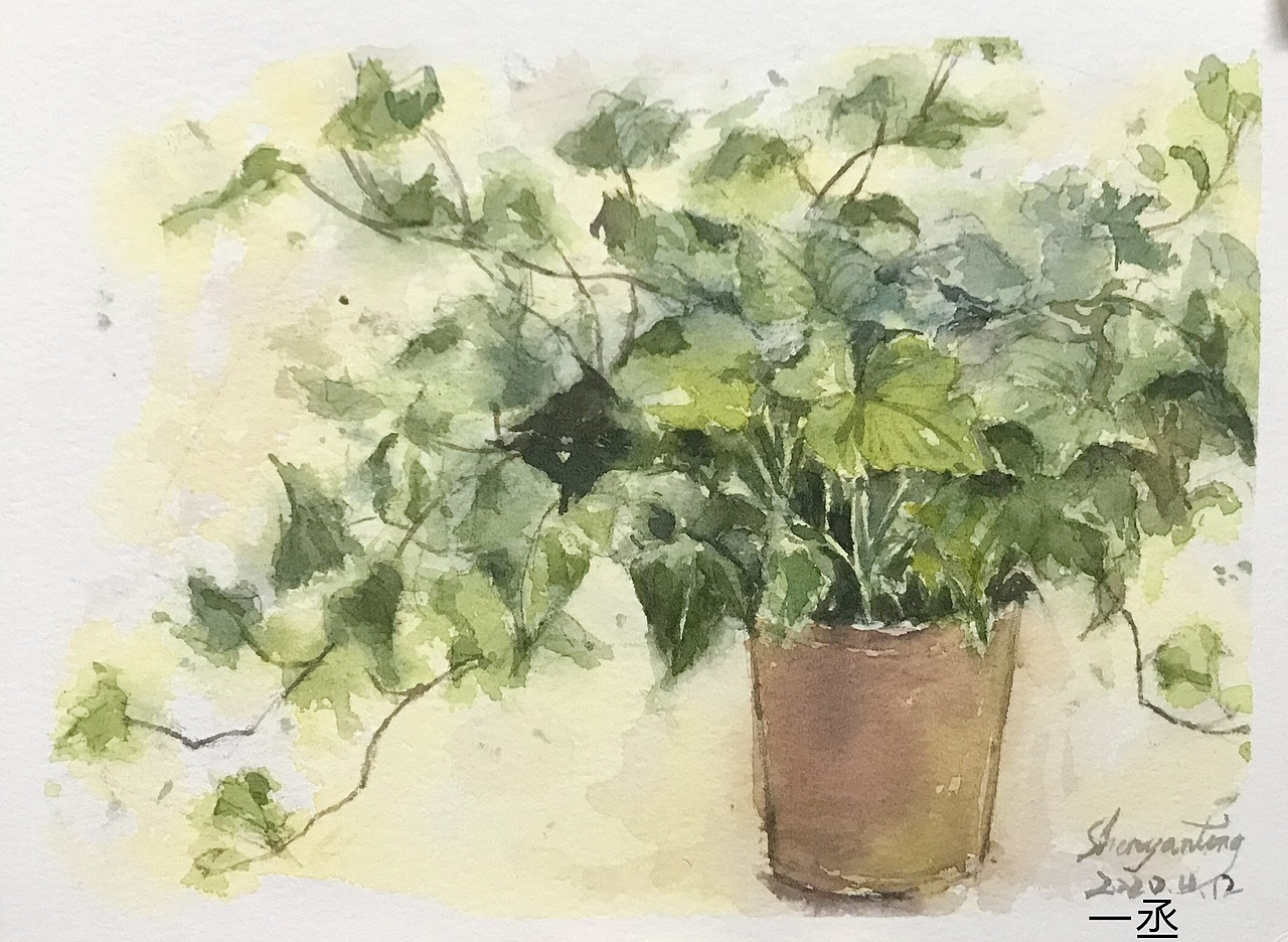 花花草草#速写人间烟火#