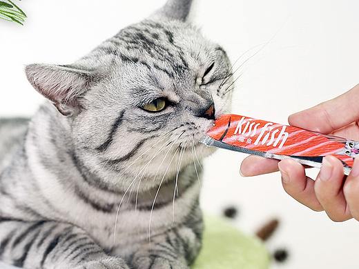 产品详情-麦富迪猫咪恋猫条